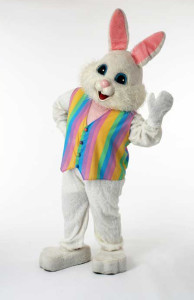 Thomas the bunny rainbow vest