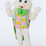 Thomas the bunny